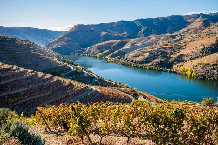 Douro histórico e vinhos em privado