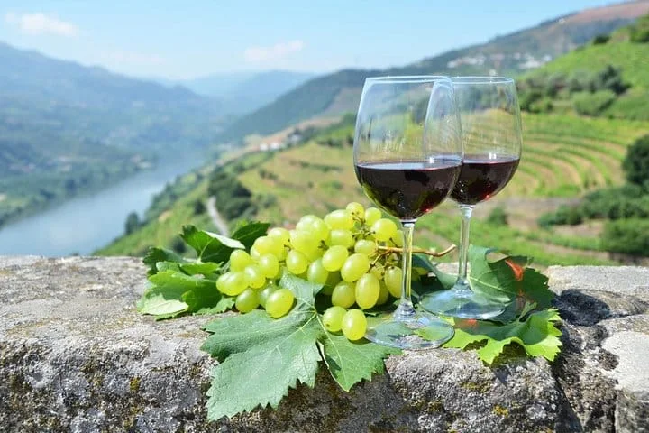 Douro e vinhos: visita privada do Porto