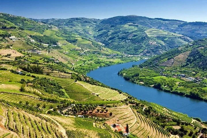 Douro: vinhos, almoço e cruzeiro