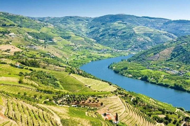 Douro histórico com almoço e cruzeiro