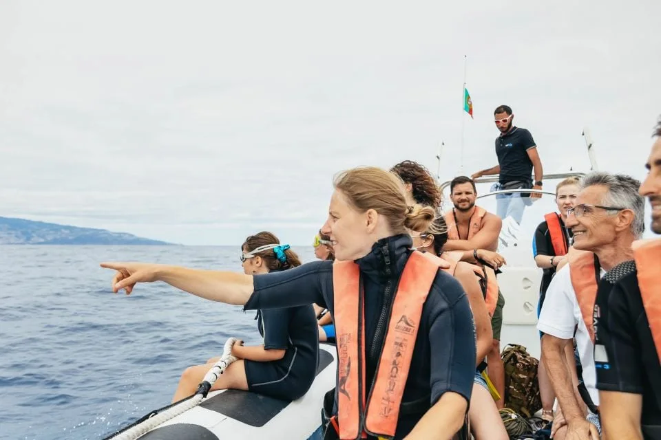 Dolphins/Whales Experience