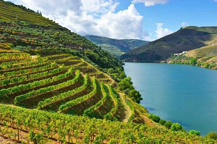 Douro privado: vinhos e gastronomia