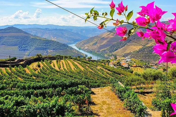 Douro: duas quintas, almoço e barco