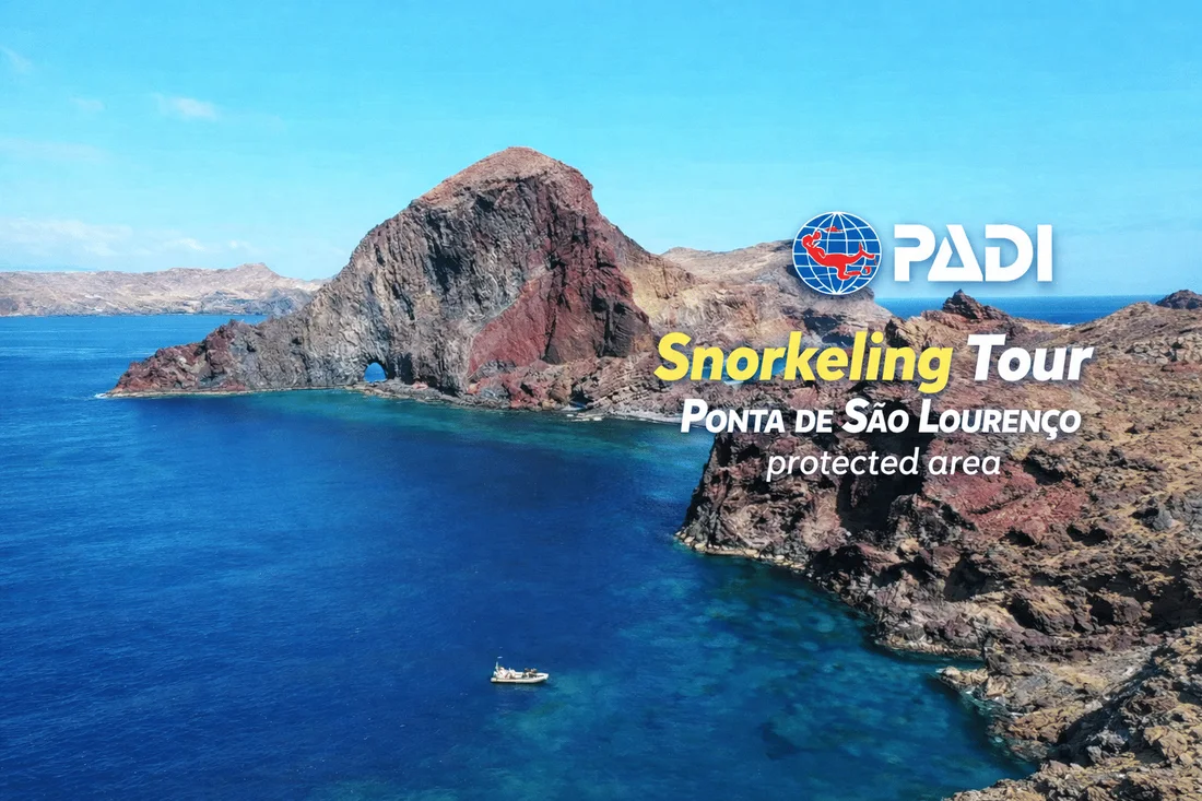 Ponta de São Lourenço Snorkeling Trip
