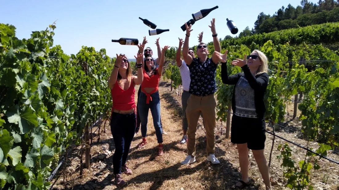 Douro: provas, almoço e cruzeiro